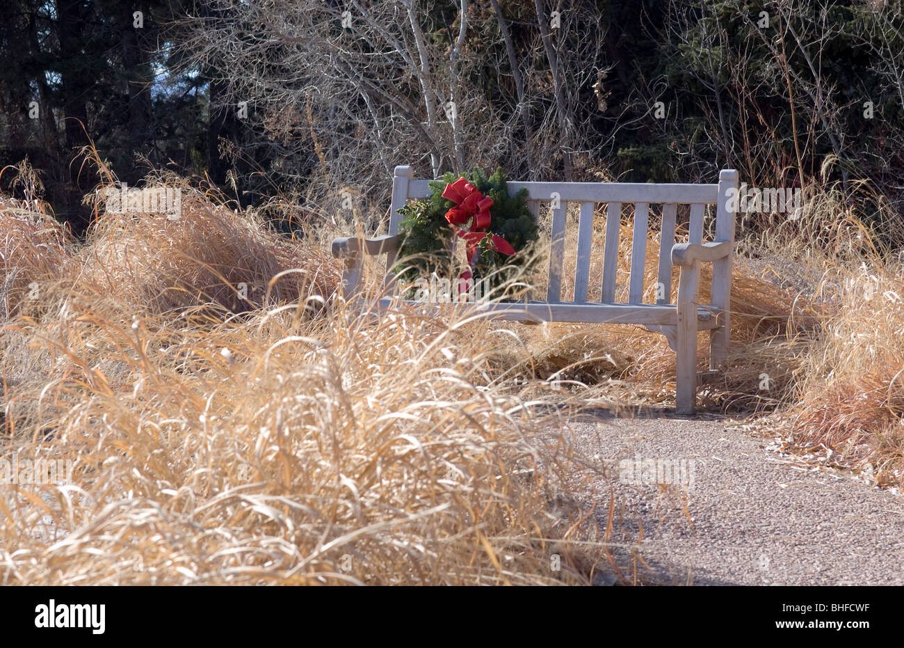 Bench with Holiday Wreath in grassland area Stock Photo
