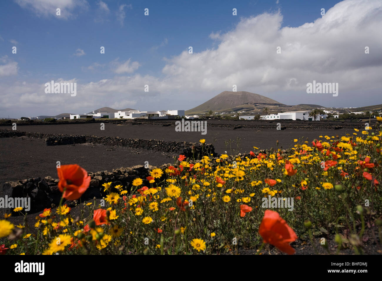 Lapilli hi-res stock photography and images - Alamy