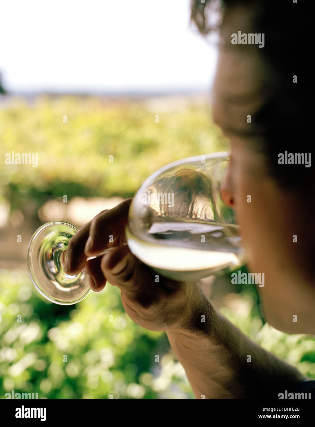 Wine Tasting A Man Drinking From A Wine Glass Black Barn