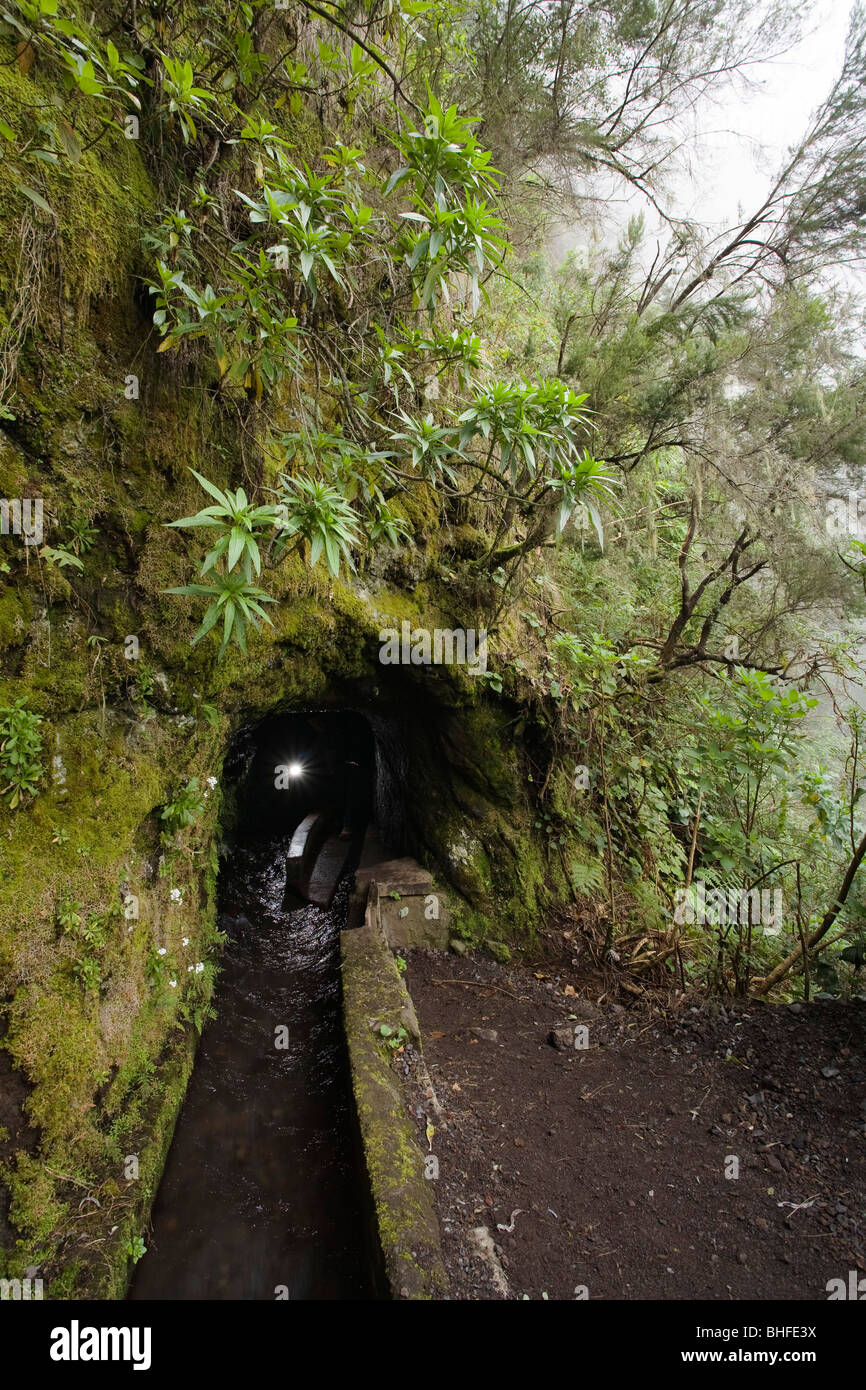 Water channel and tunnel with moss, Galeria de agua, Fuentes Marcos y Cordero, natural preserve, Parque Natural de las Nieves, e Stock Photo