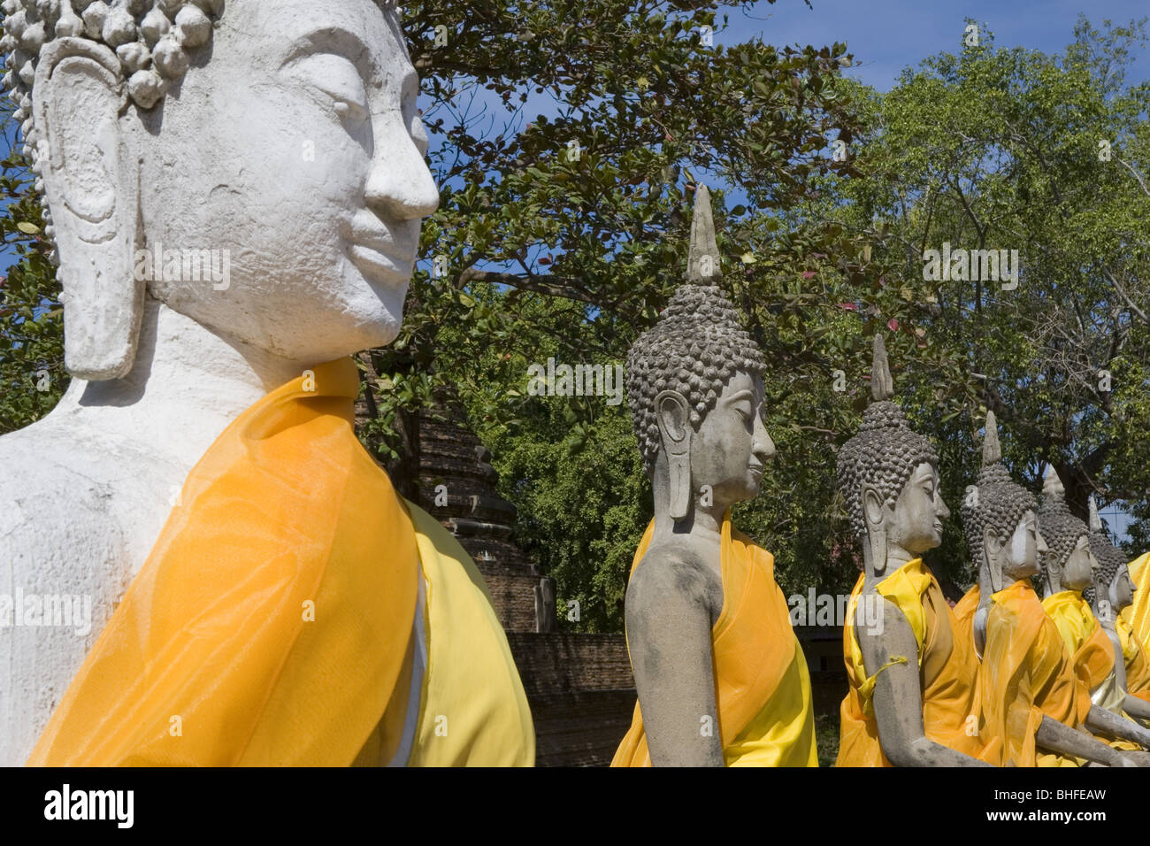View at Buddha statues wearing monks' robes at Wat Yai Chai Mongkhon, Ayutthaya, Province Ayutthaya, Thailand, Asia Stock Photo