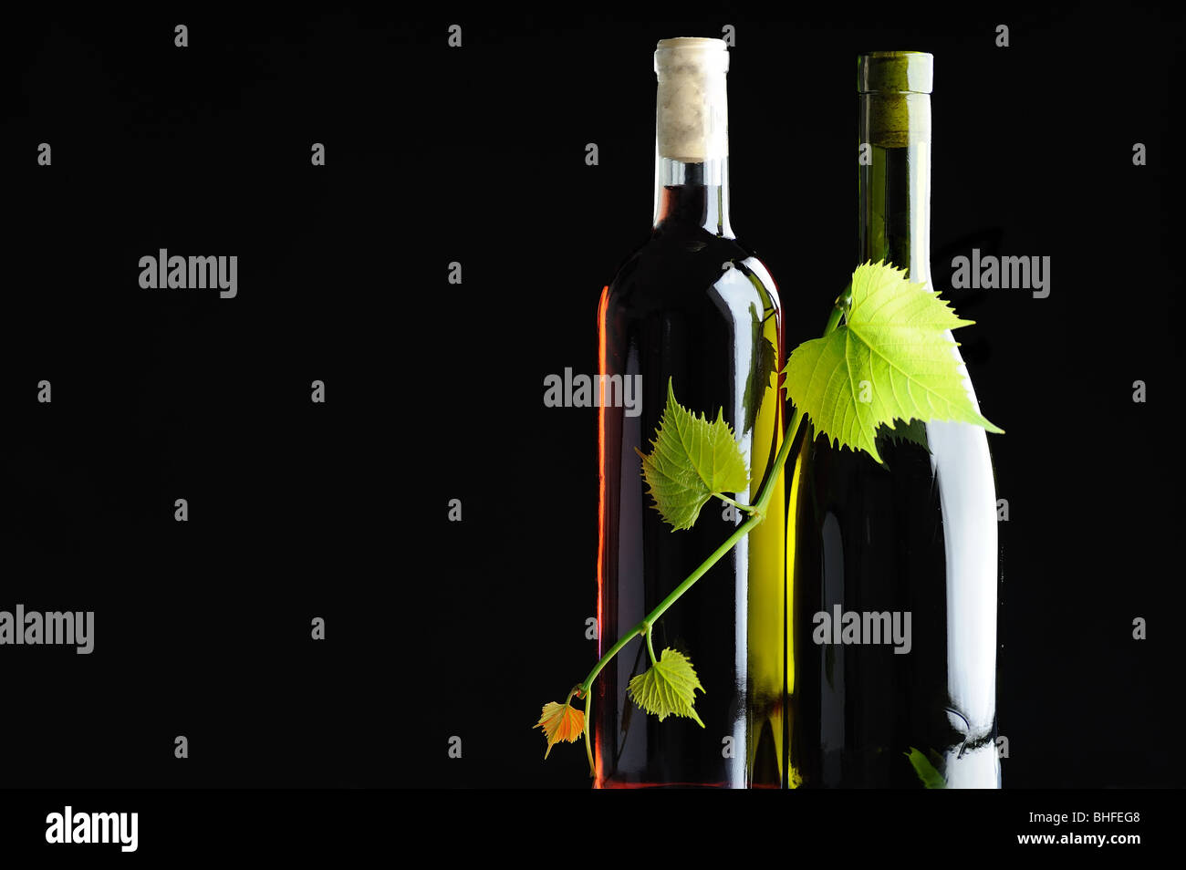 Two bottles wine twined by grapevine on black background Stock Photo