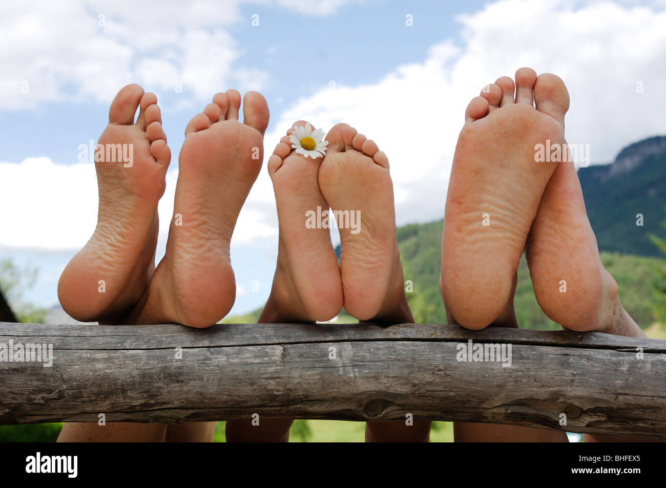 Paired. пара кроссовок лежат. проект на тему congruence bias. Prawns and shrimps разница. Three pairs.