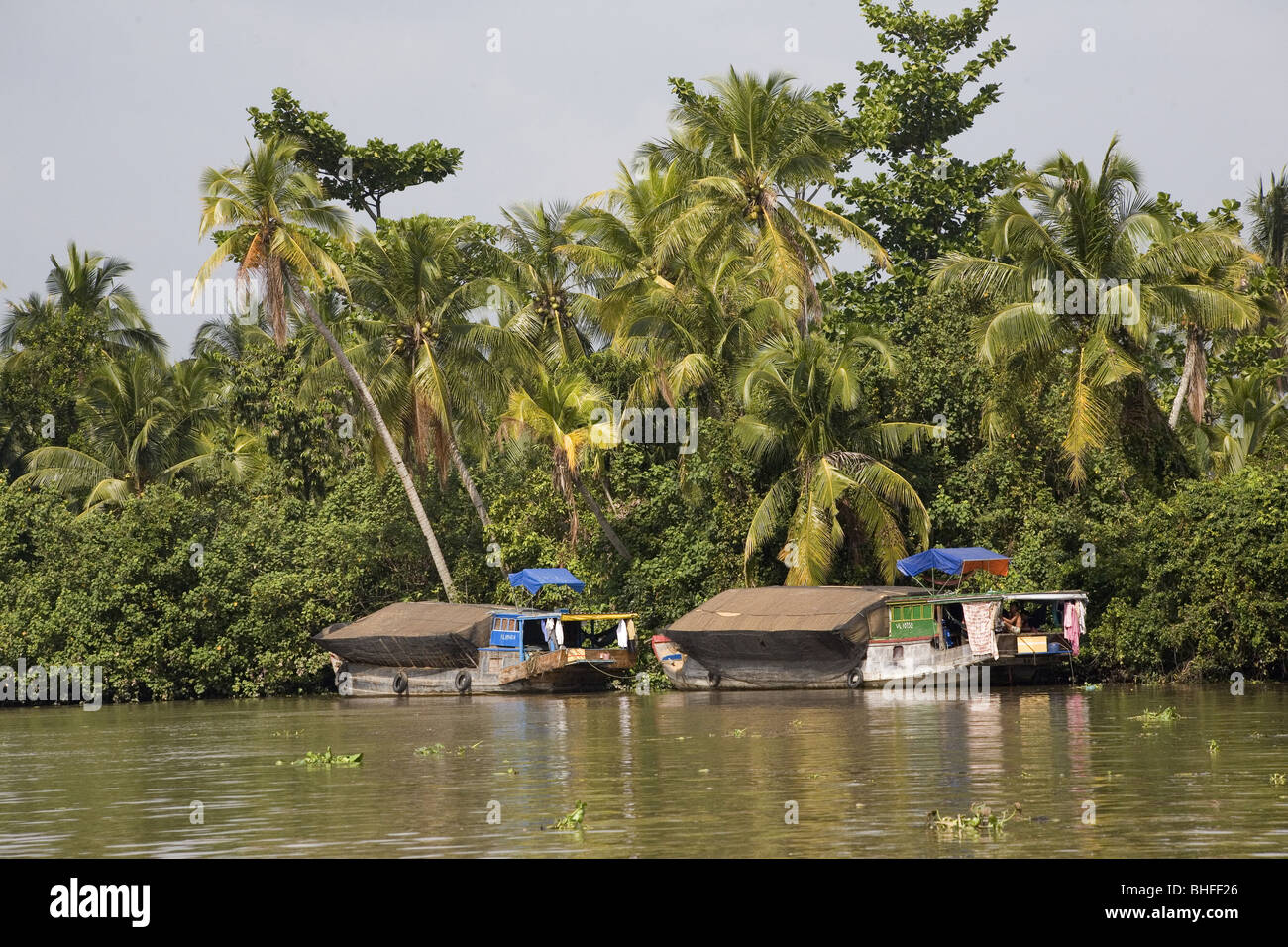 Boats on the Mekong River, Mekong Delta, Can Tho Province, Vietnam ...