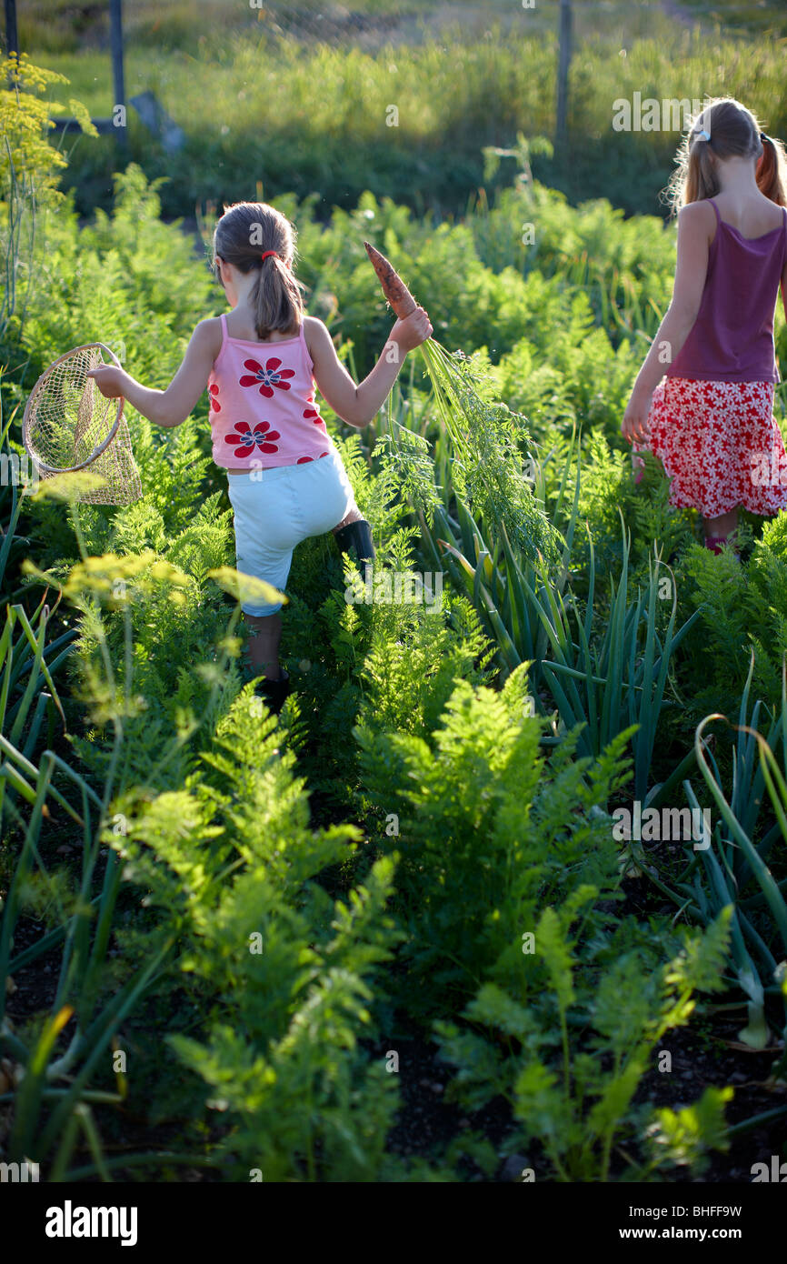 Two girls (6-9 years) in vegetable patch, Lower Saxony, Germany Stock Photo