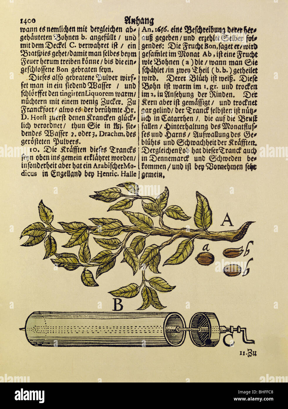 food, coffee, illustration from 'Trefflich-versehene Medicin-Chymische Apotheke', by Johann Schroeder, Nuremberg, Germany, 1685, twig of the plant Coffea arabica, coffee beans, roasting gadget, Stock Photo