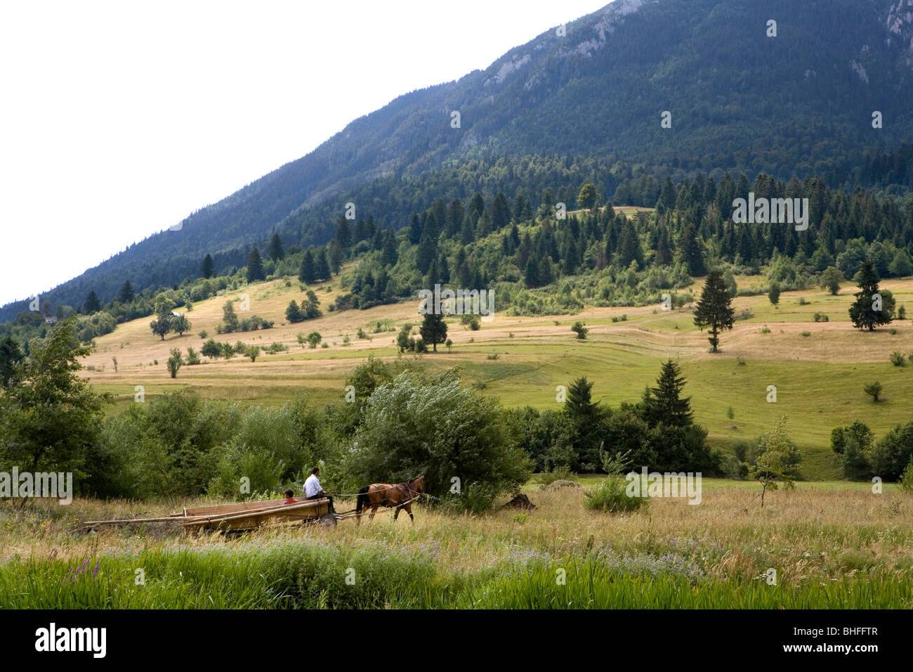 Gypsies on a horse-drawn carriage on the foot of the Piatra Craiuli Mountain range, Transylvania, Carpathian Mountains, Romania, Stock Photo