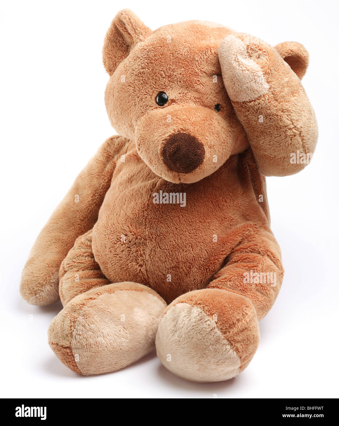 Teddy bear in a worry. Isolated over white. Stock Photo