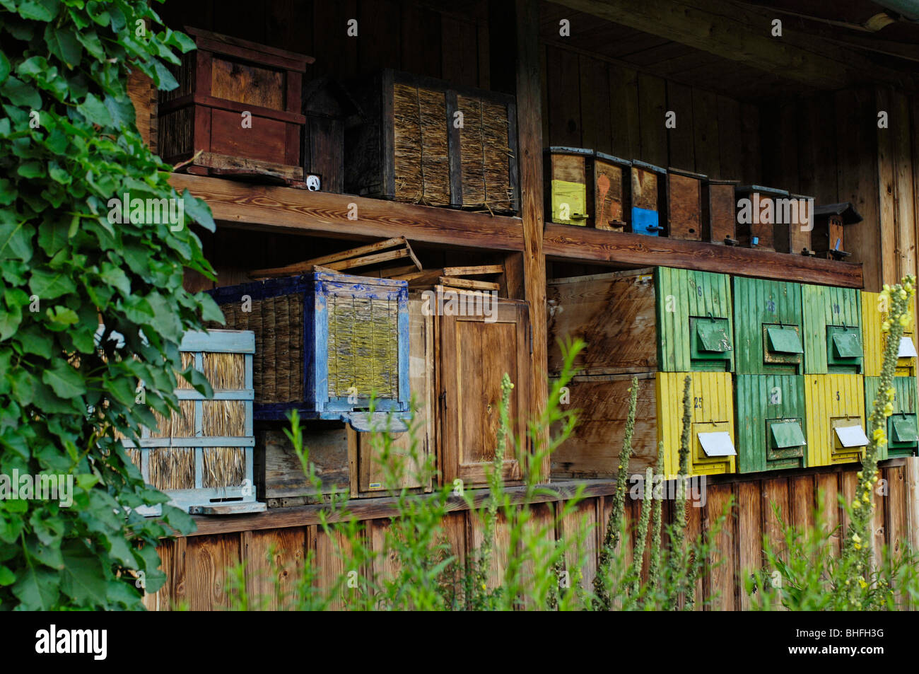 Bee hives in the South Tyrolean local history museum at Dietenheim