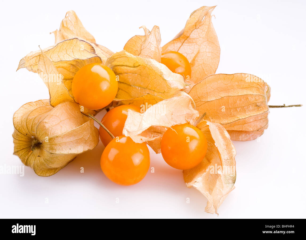 Physalis on a white background Stock Photo