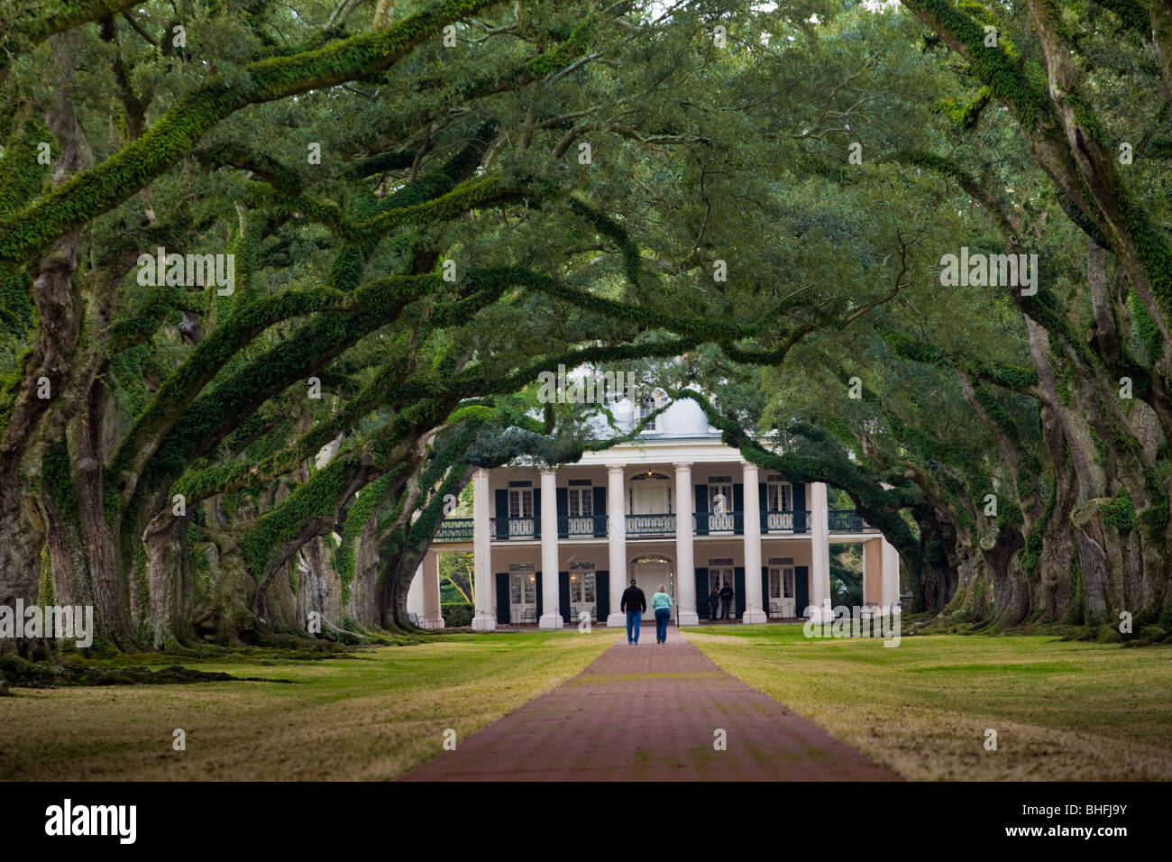 Oak Alley plantation, iconic southern gothic scene, on River Road 