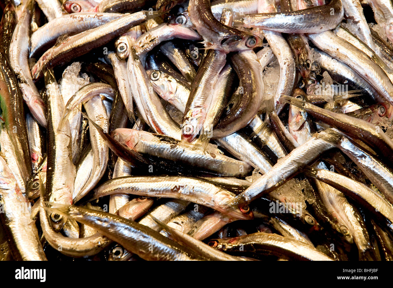European anchovies for sale in a market Stock Photo