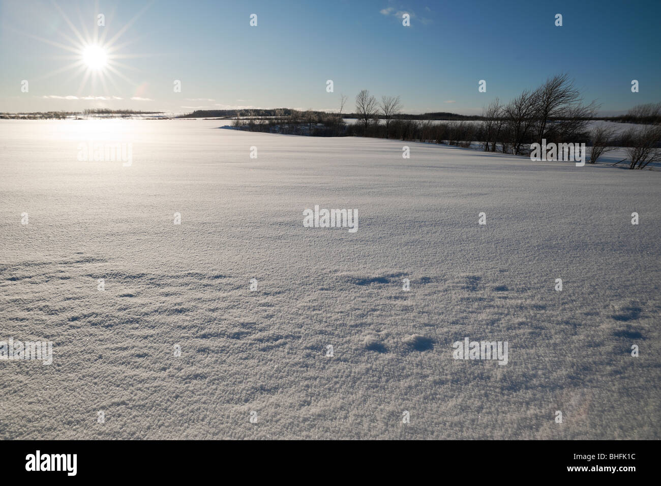 The winter sun shines brightly over a snow covered field near Meaford, Ontario Stock Photo