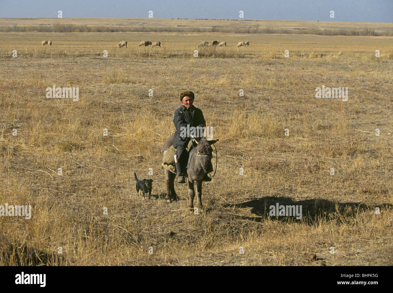 An elderly Kazak shepherd on his donkey on the remote grassy steppes of Kazakhstan Stock Photo