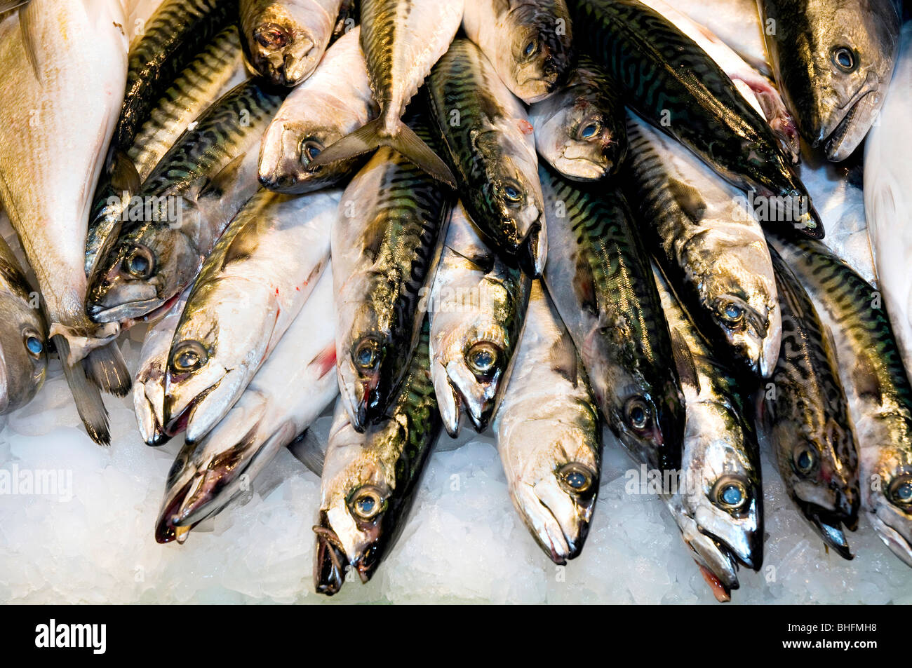 Atlantic mackerel for sale in a market Stock Photo