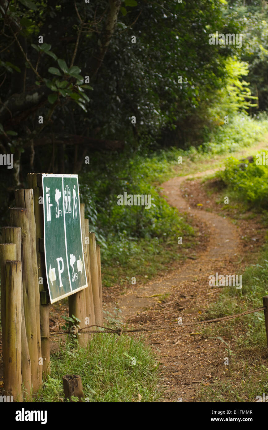 Signpost pointer to meandering footpath through natural bush. Kwazulu Natal, South Africa. Stock Photo