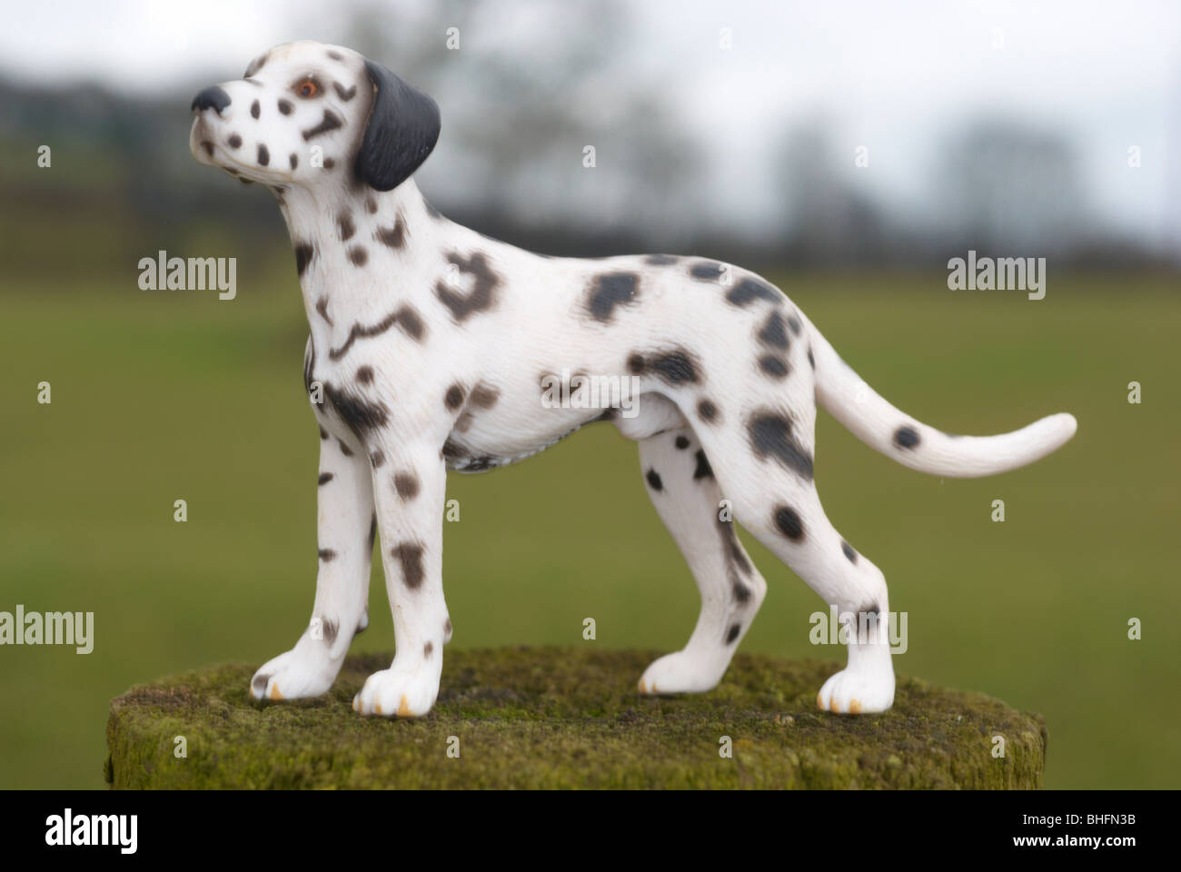 Plastic Dalmatian photographed outdoors Stock Photo Alamy