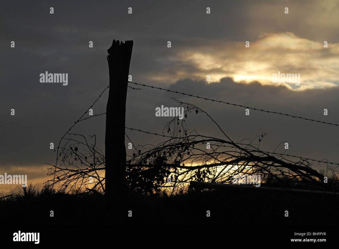 Old and Rusting barbed wire with new to fence a field Stock Photo - Alamy