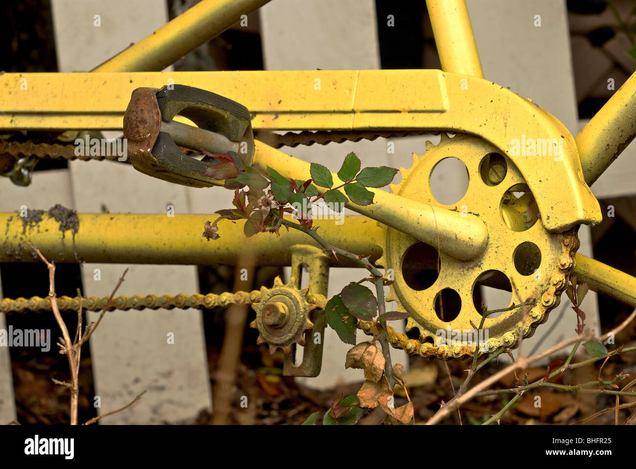 bicycle pedal and chain Stock Photo Alamy