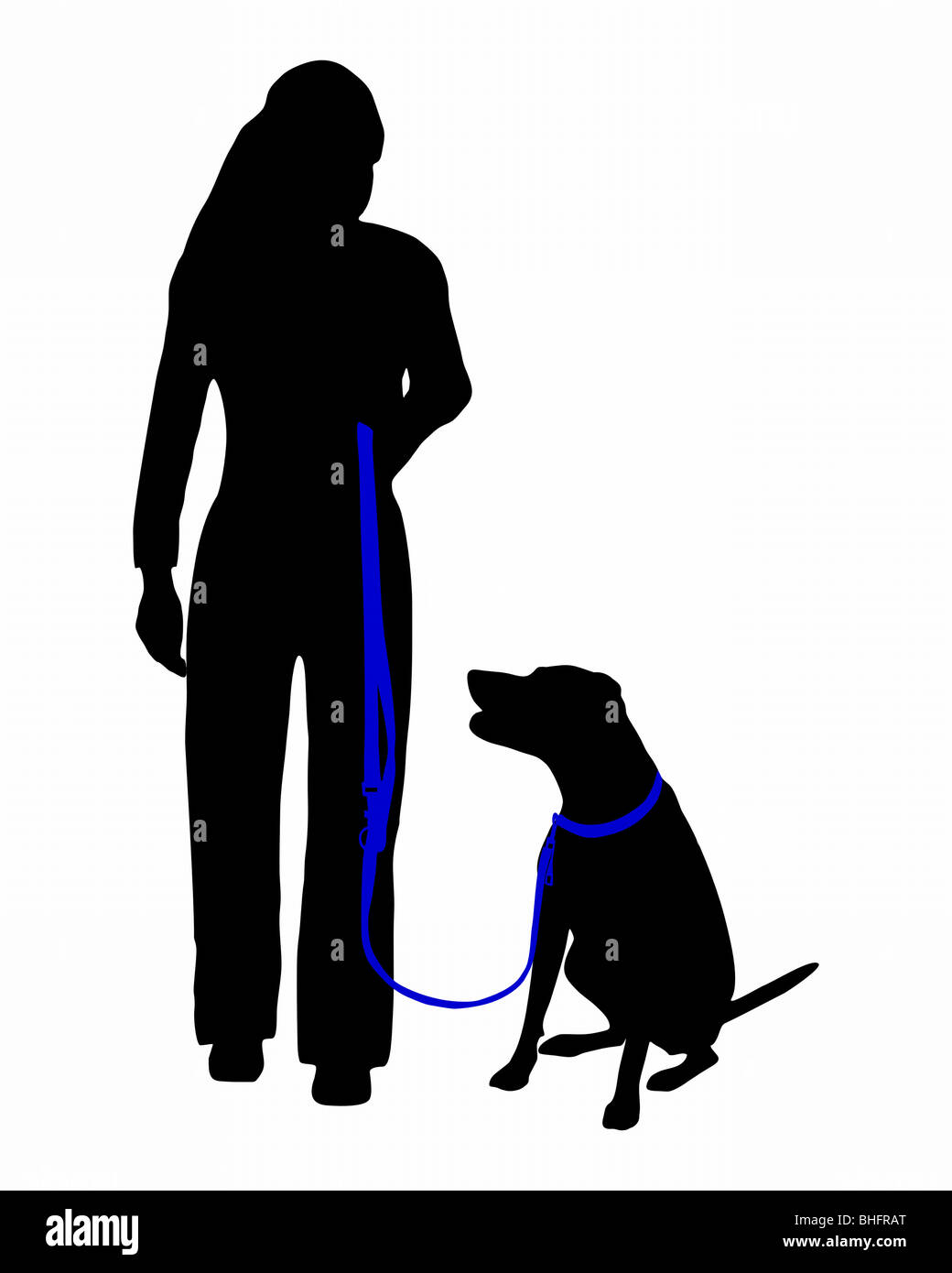 Dog training (obedience) command sit at heel Stock Photo Alamy