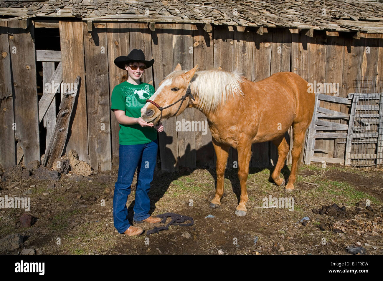 A young cowgirl wearing a ten gallon hat and her palomino horse in front of an old barn. Stock Photo