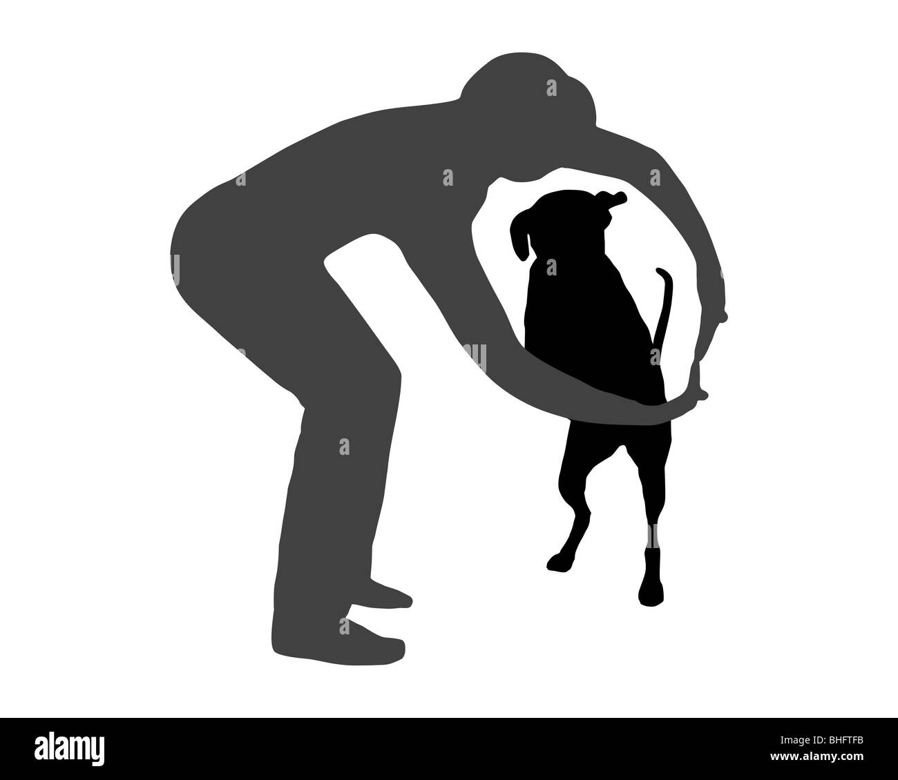 Dog agility (obedience) Command Jump through Stock Photo Alamy