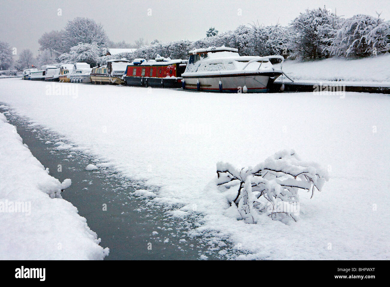 Boats frozen into their moorings with snow covering the iced up Bridgewater canal and a snow covered branch in the foreground Stock Photo