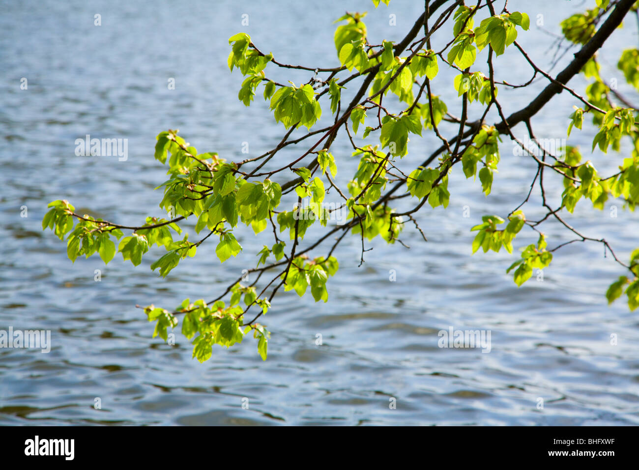 Spring Stock Photos & Images from Alamy