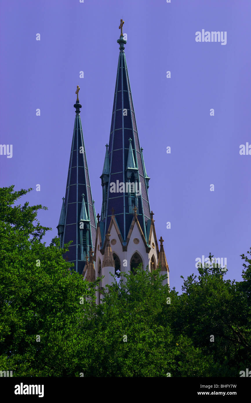 Cathedral St. John Baptist, Lafayette Square, Savannah Georgia USA Stock Photo