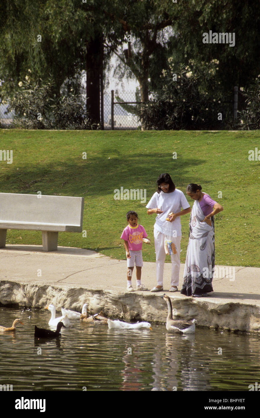IndianAmerican family feed duck geese lake park child Stock Photo Alamy