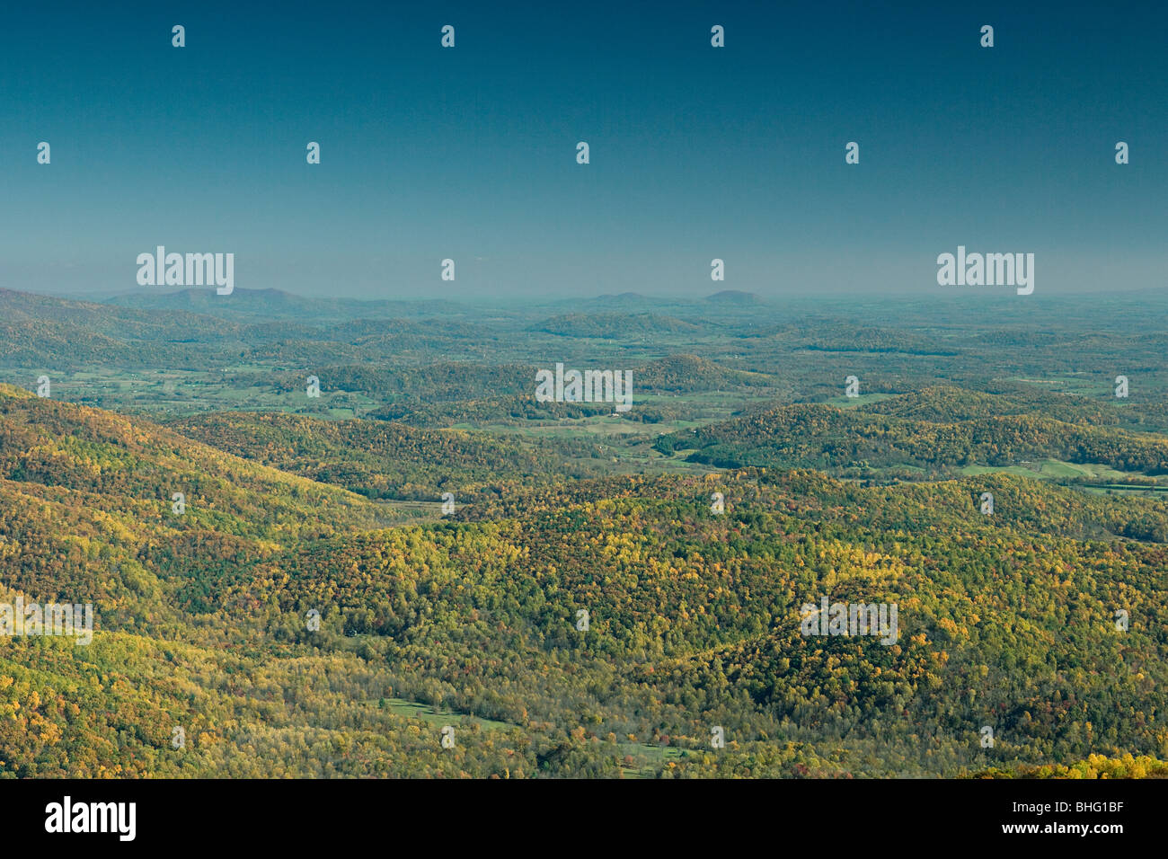 View Over Trees A view over tree covered mountains Stock Photo - Alamy
