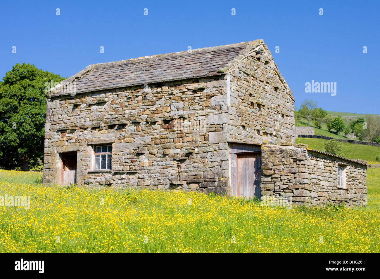 Barn in hay meadow at Muker, Yorkshire Dales, UK Stock Photo