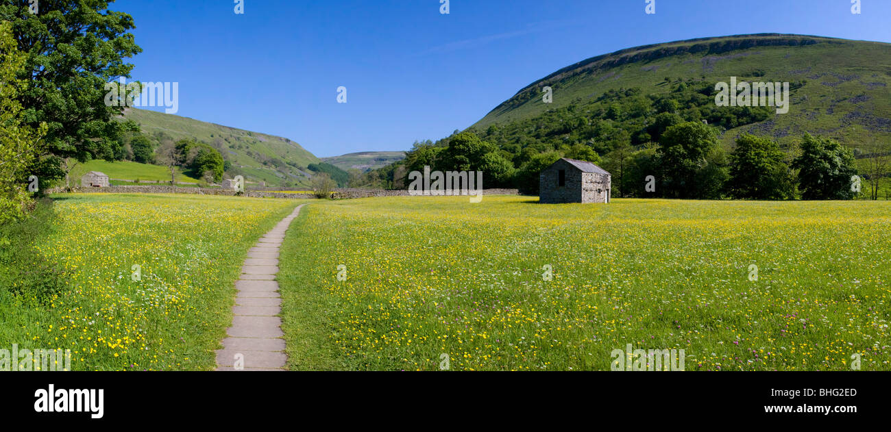 Path through hay meadows at Muker, Yorkshire Dales, UK - panoramic Stock Photo