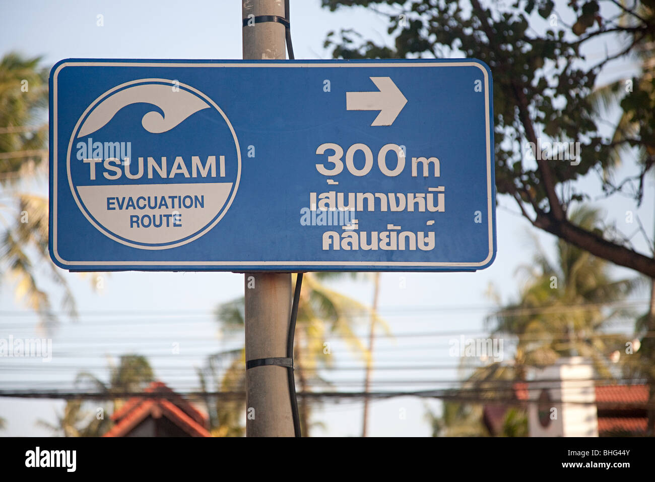 Tsunami zone phuket