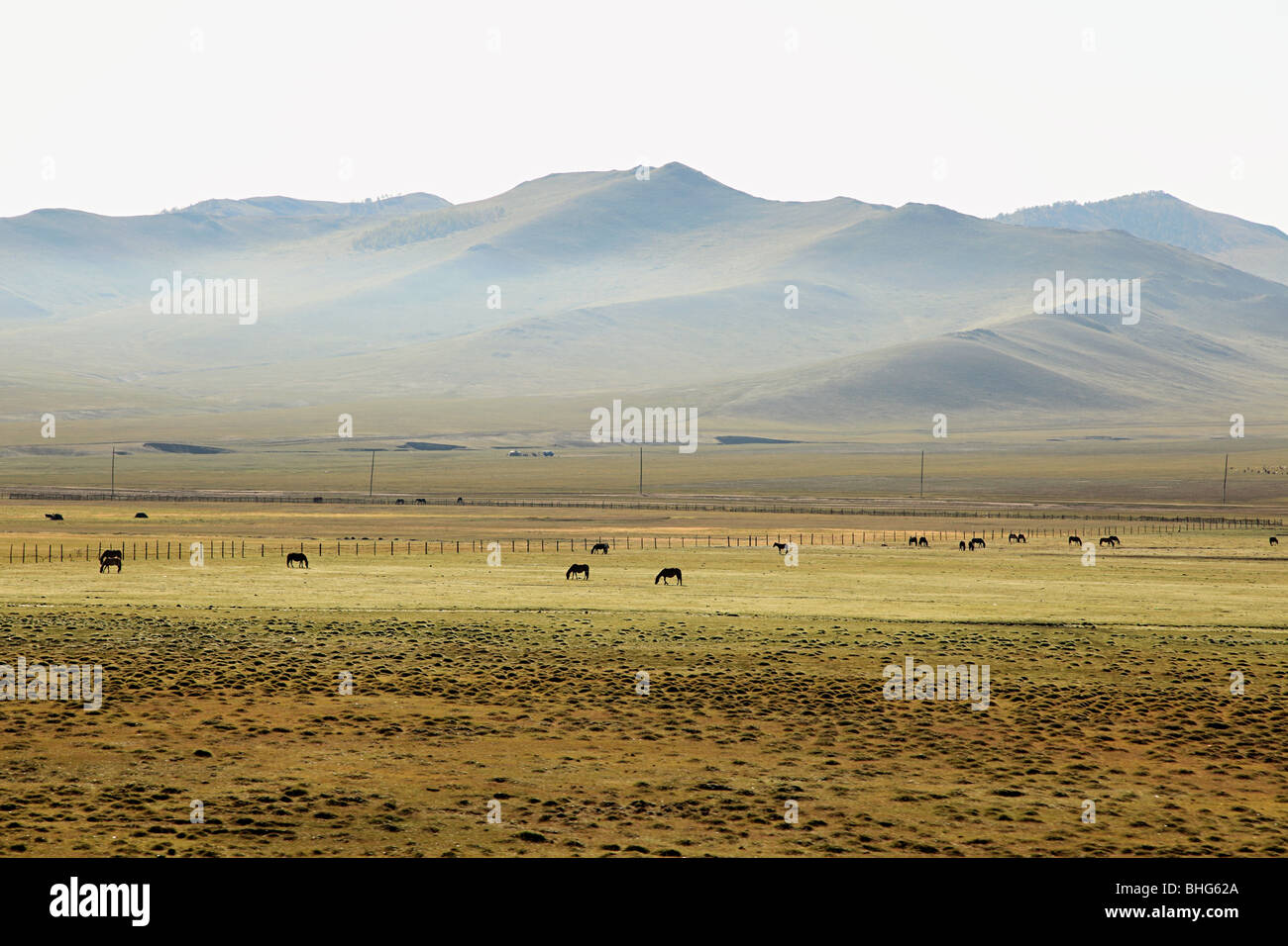 Mongolian steppes landscape Stock Photo