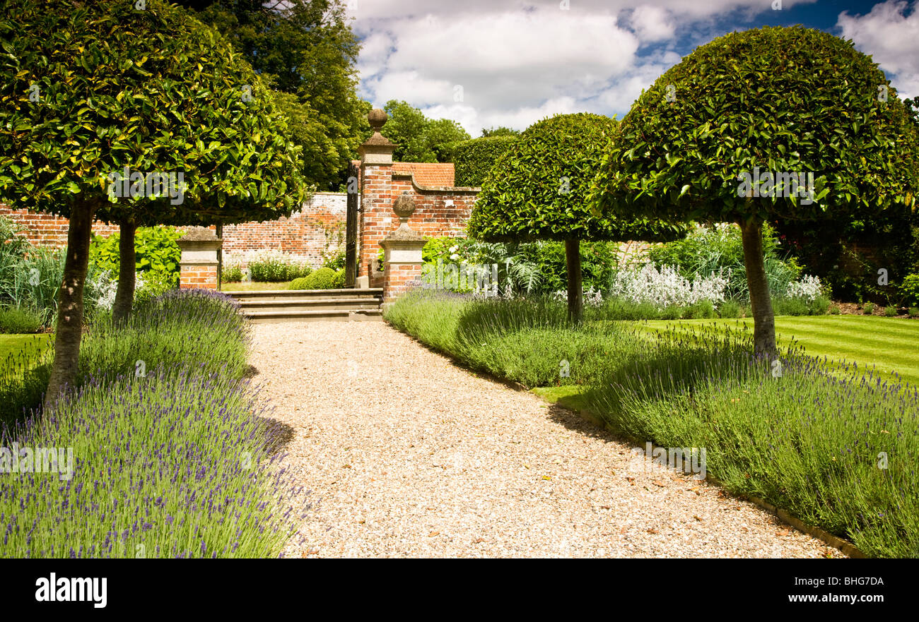 Gravel garden path lined with lavender and topiary leading to the entrance to a walled garden in England, UK Stock Photo