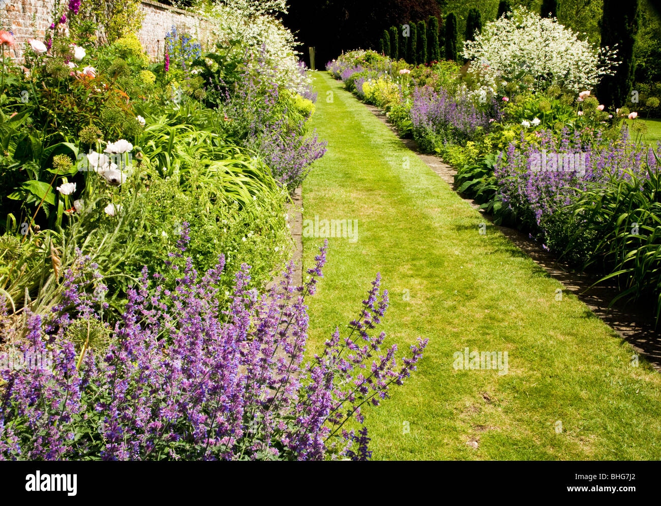 A grassy path between summer herbaceous perennial borders in a country garden in England, UK Stock Photo