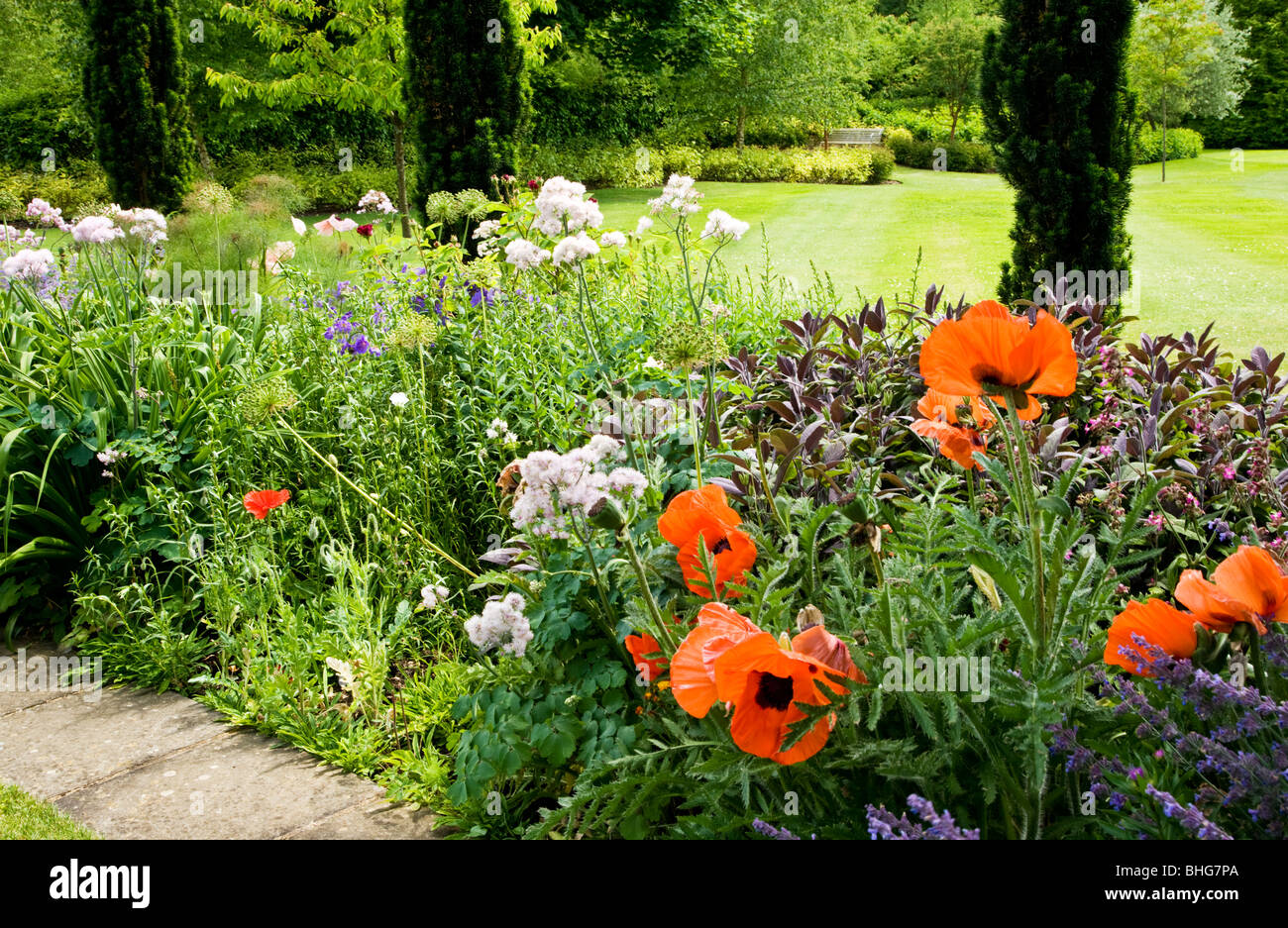 View through herbaceous perennial border onto a large lawn in an English country garden in summer. Stock Photo