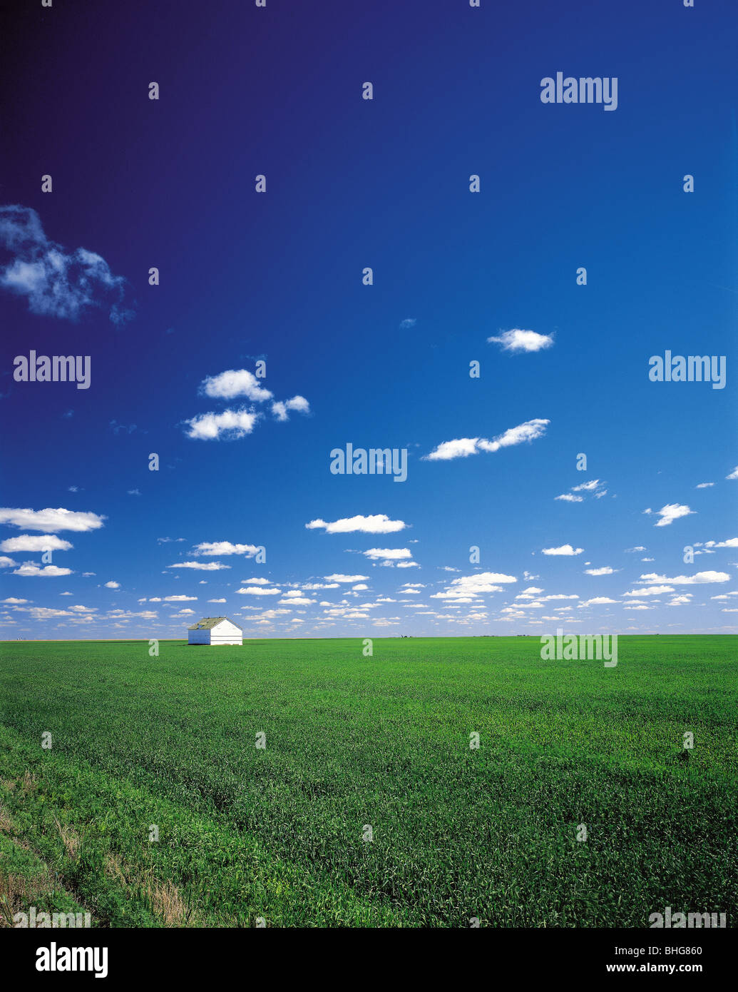 The Prairies Saskatchewan Canada Stock Photo