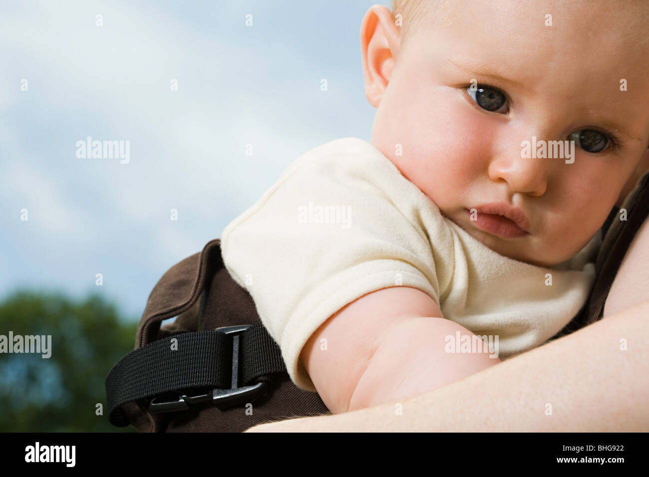 Baby in baby carrier Stock Photo