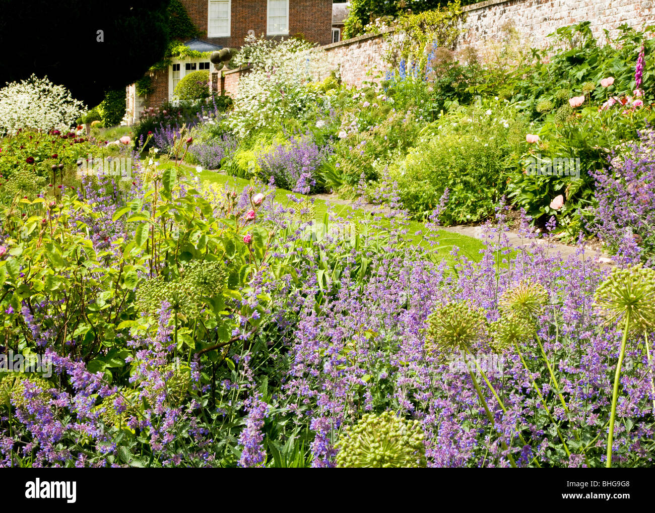 View of herbaceous perennial flower borders in summer in an English ...