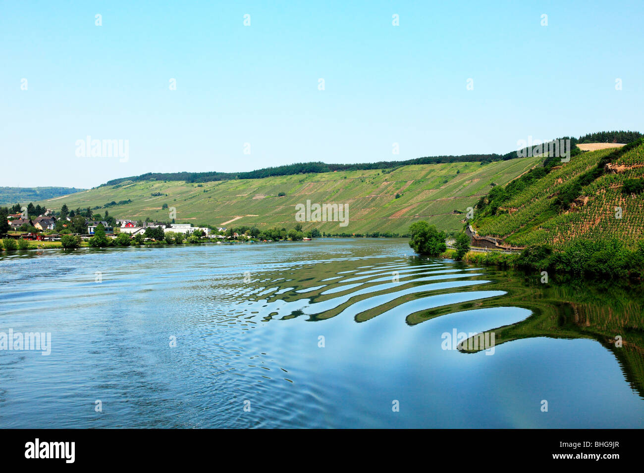 The rhine and riverbanks Stock Photo