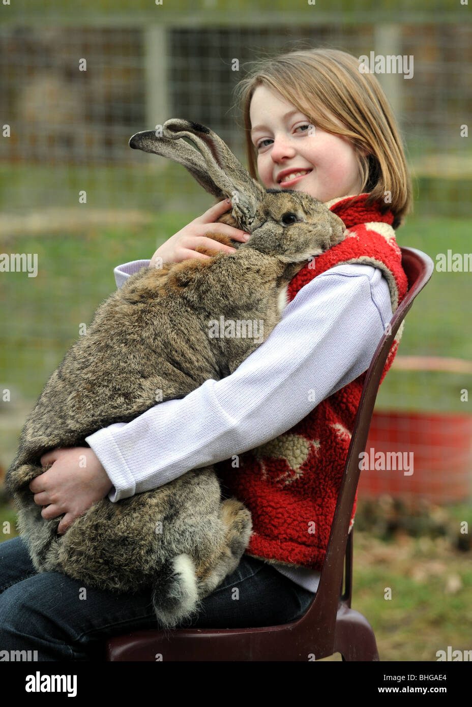 Giant rabbit hires stock photography and images Alamy