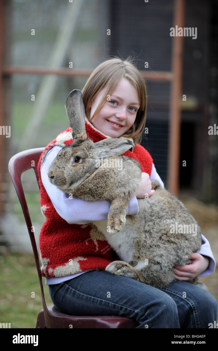 Rabbit rescue centre hi-res stock photography and images - Alamy