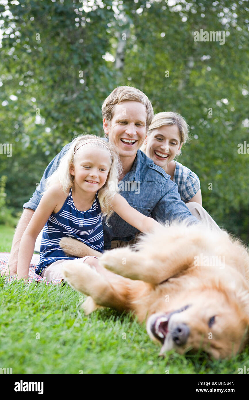 Golden retriever in the park hi-res stock photography and images - Alamy