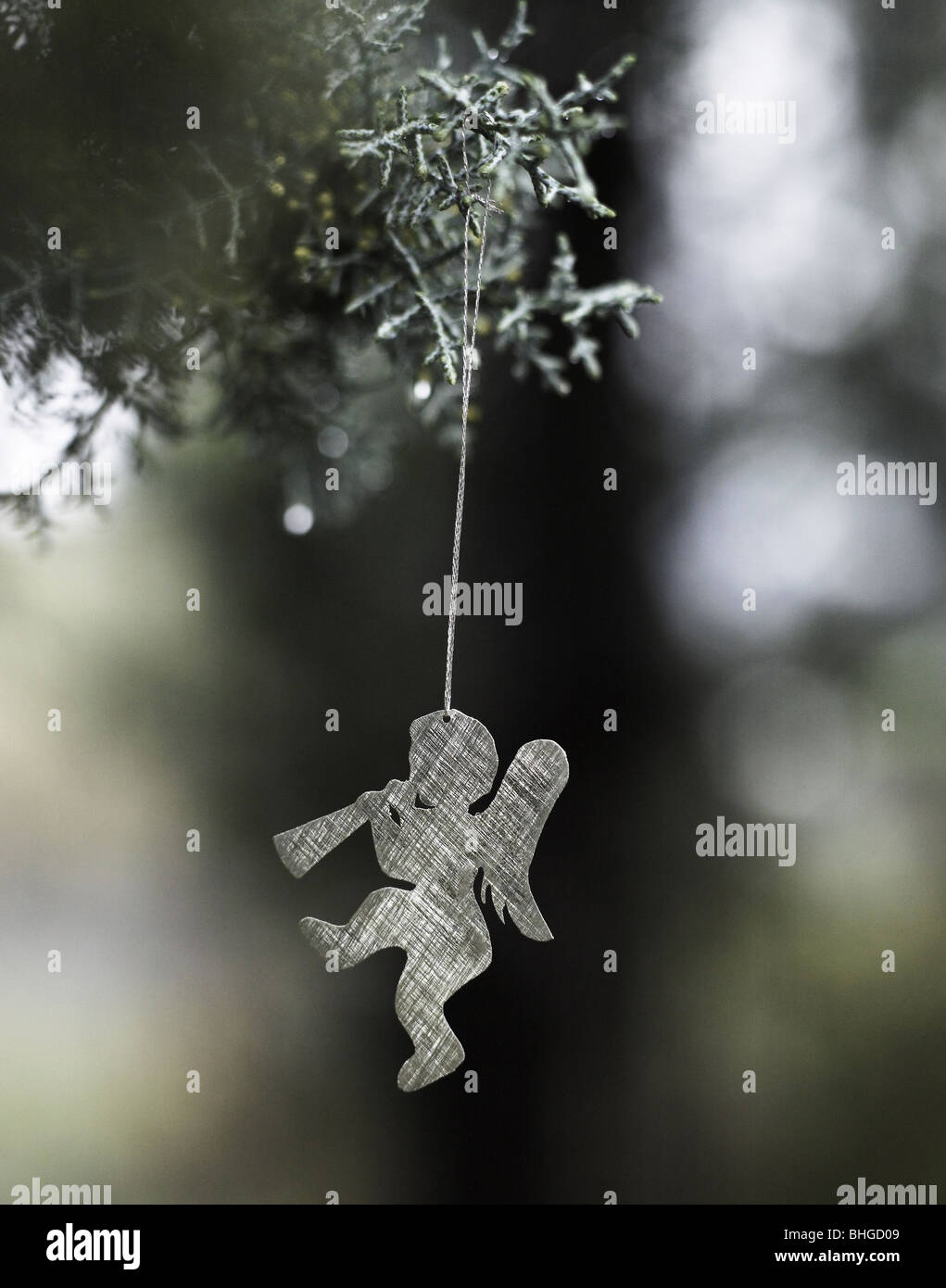 Christmas decoration outdoors, Italy. Stock Photo