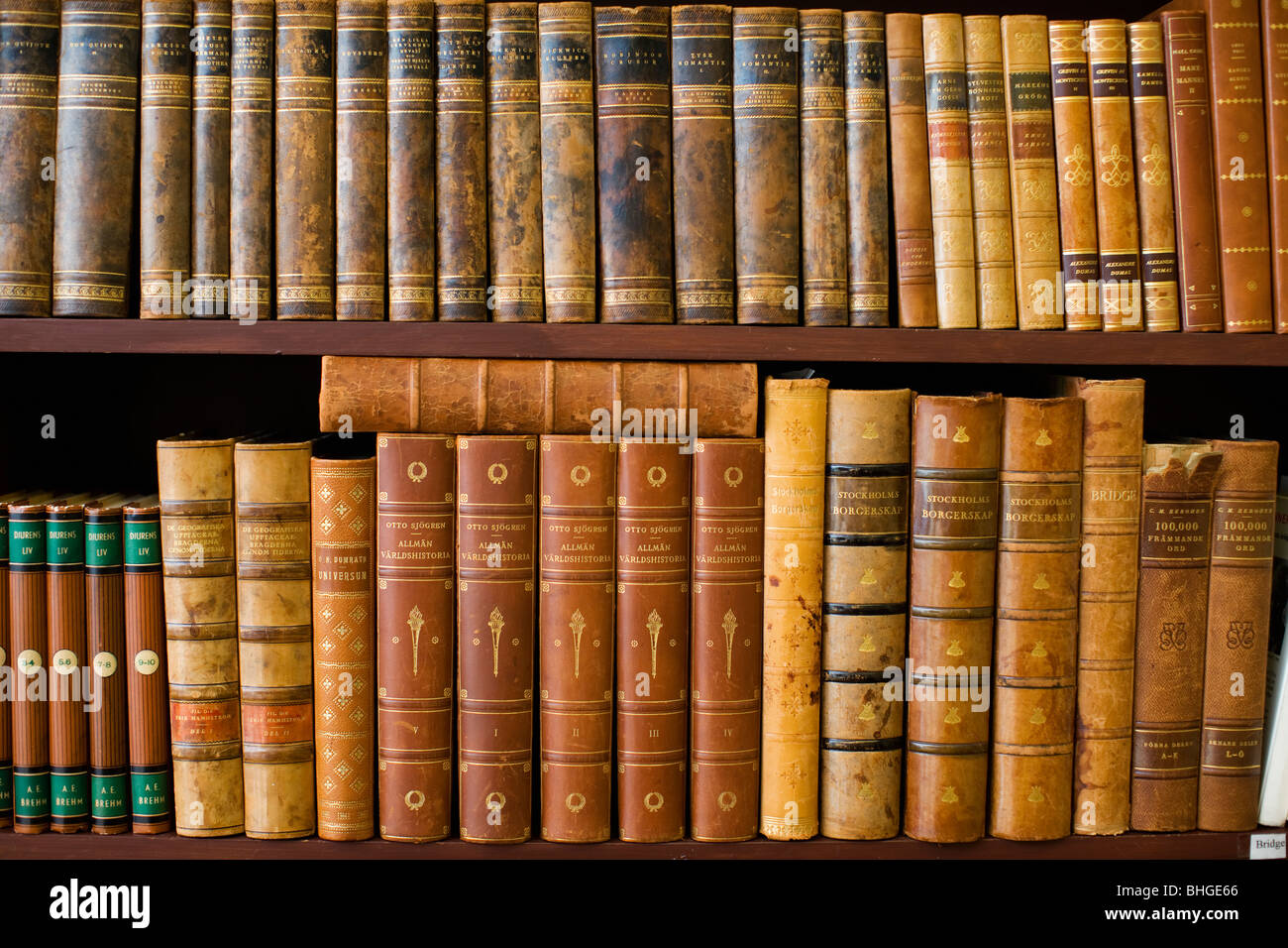 Old books. Stock Photo