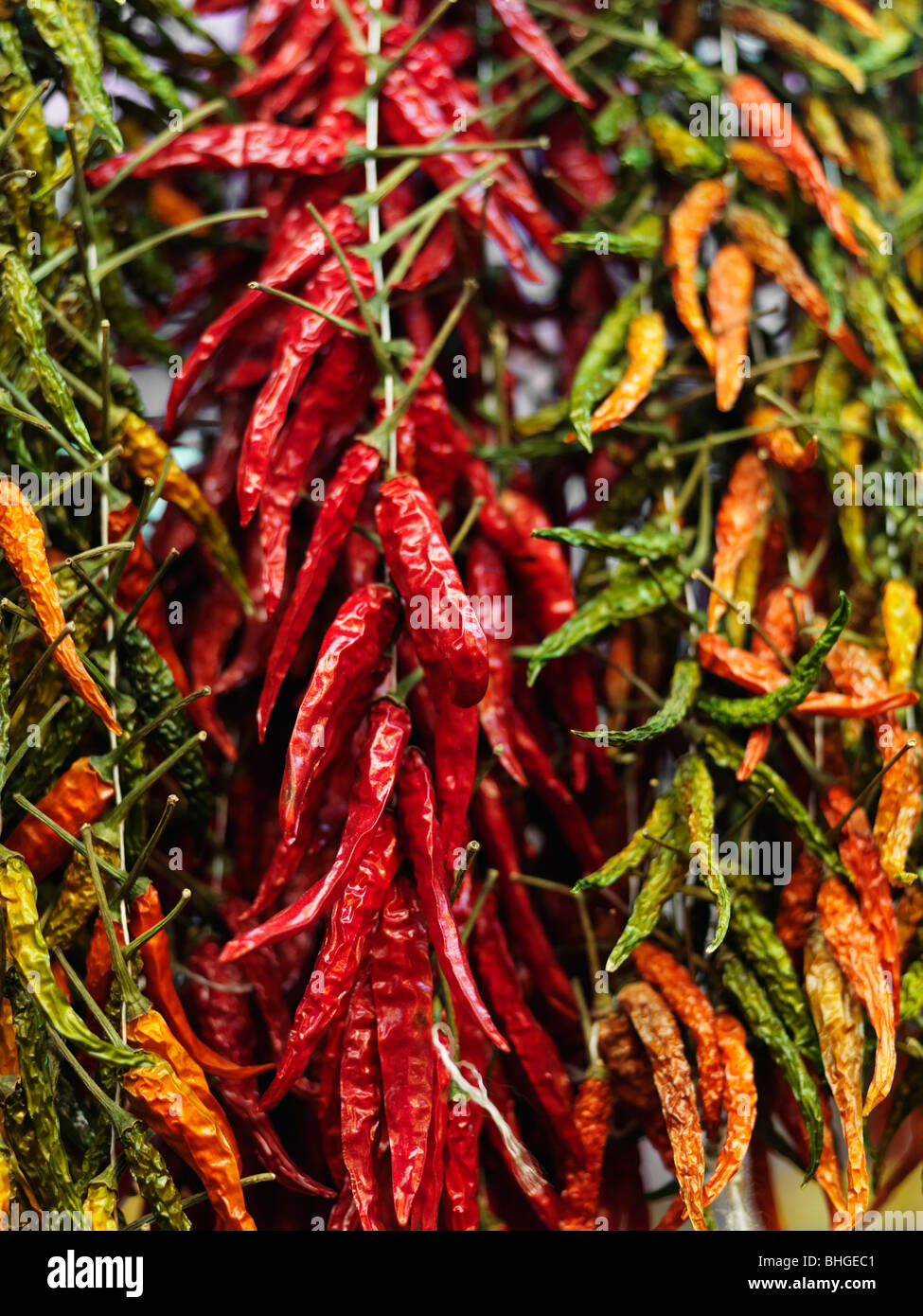 Chili in various colors, Spain. Stock Photo