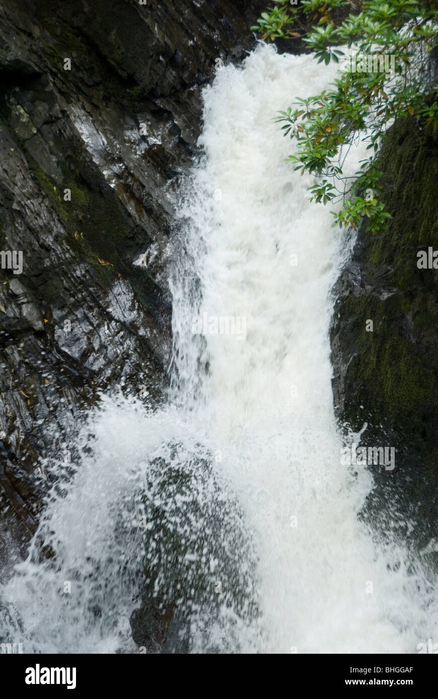 Cascading Torrent of Water Pouring over Top of Devil's Bridge Waterfall, nr  Aberystwyth, Wales Stock Photo - Alamy