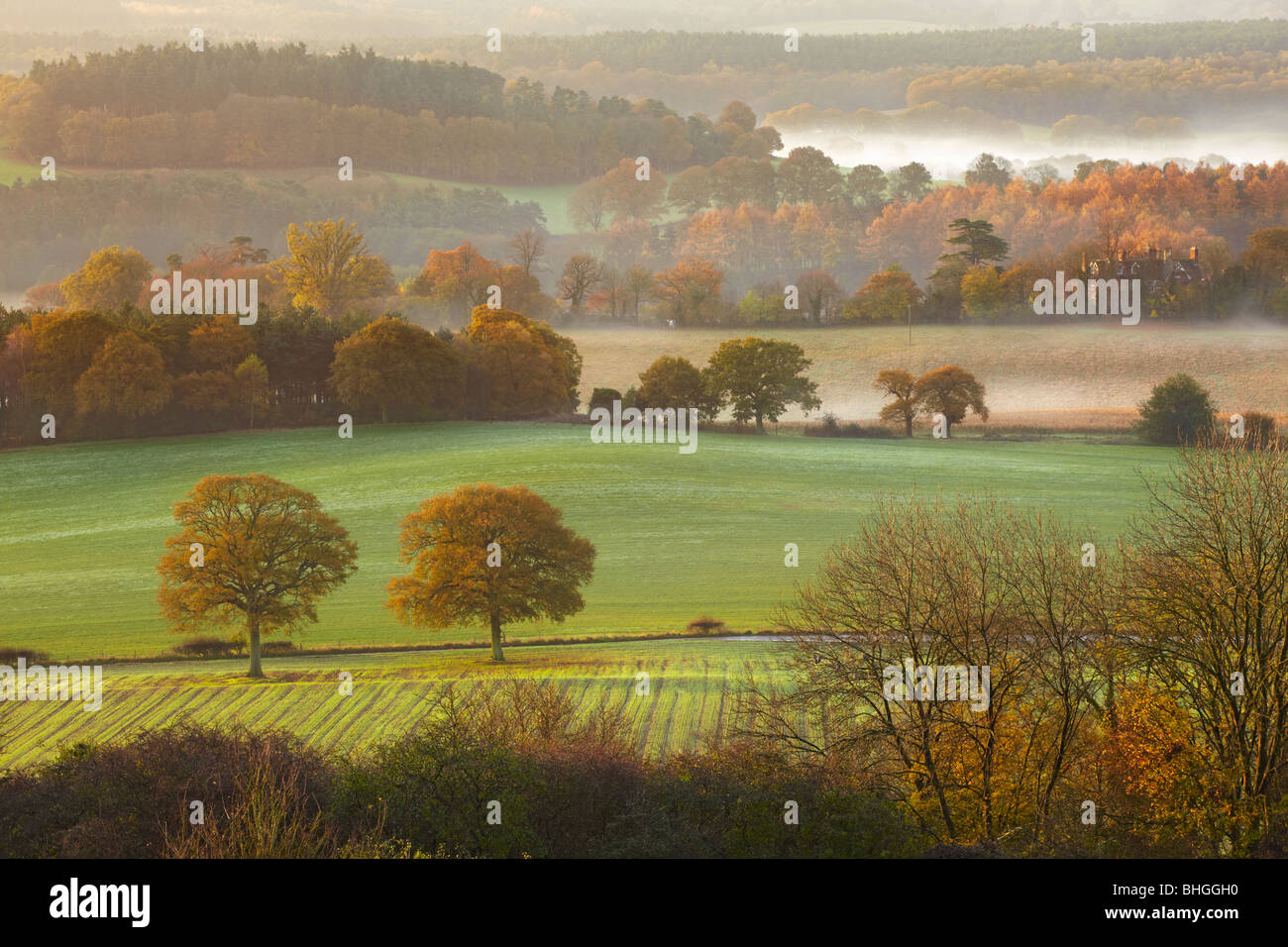 Early Morning views across the hillside from Newlands Corner looking toward Albury Surrey Stock Photo